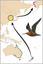 Advancement in long-distance bird migration through individual plasticity in departure